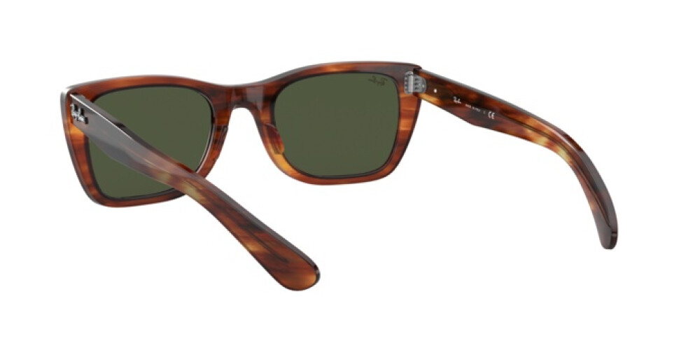 Sunglasses Man Woman Ray-Ban Caribbean RB 2248 954/31