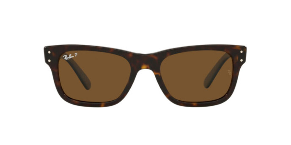 Occhiali da Sole Uomo Ray-Ban Mr burbank RB 2283 902/57