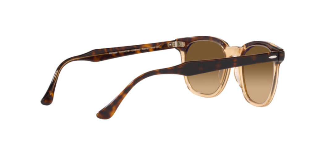 Occhiali da Sole Donna Uomo Ray-Ban Hawkeye RB 2298 1292M2