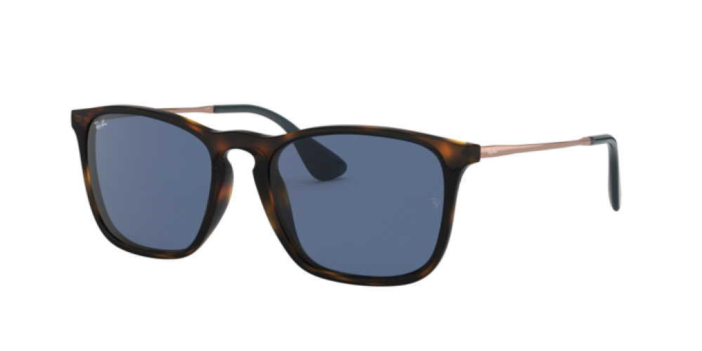 Sunglasses Man Woman Ray-Ban Chris RB 4187 639080