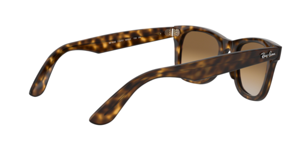 Occhiali da Sole Donna Uomo Ray-Ban Wayfarer Ease RB 4340 710/51