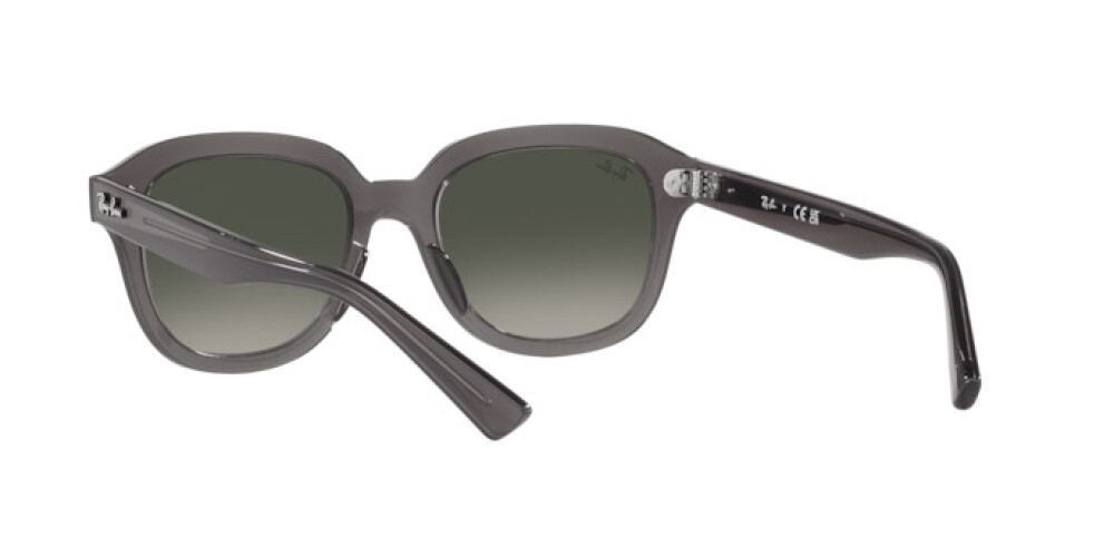 Sunglasses Man Woman Ray-Ban Erik RB 4398 667571