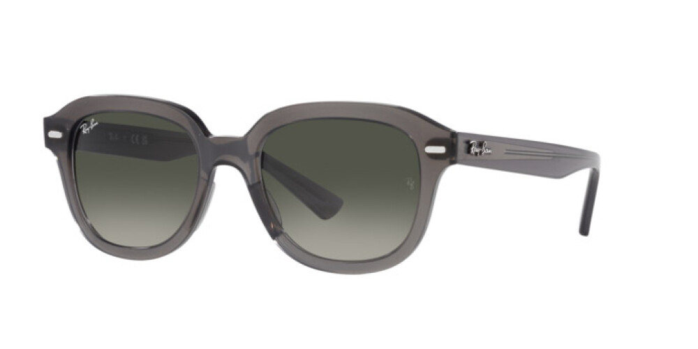 Sunglasses Man Woman Ray-Ban Erik RB 4398 667571