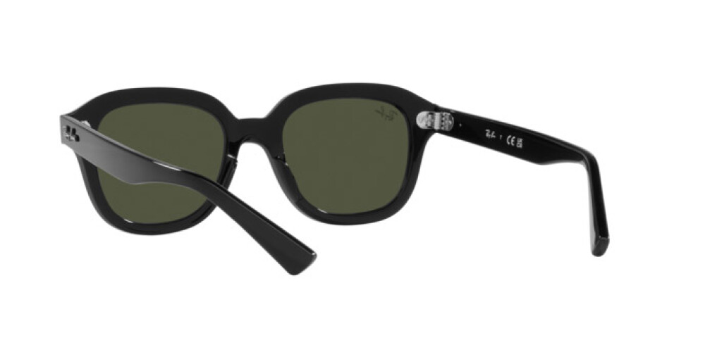 Occhiali da Sole Donna Uomo Ray-Ban Erik RB 4398 901/31