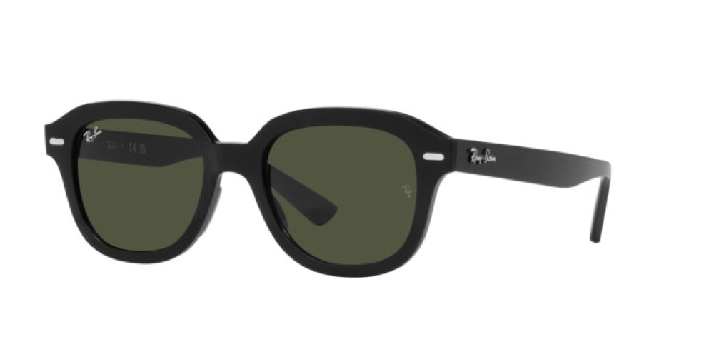 Occhiali da Sole Donna Uomo Ray-Ban Erik RB 4398 901/31