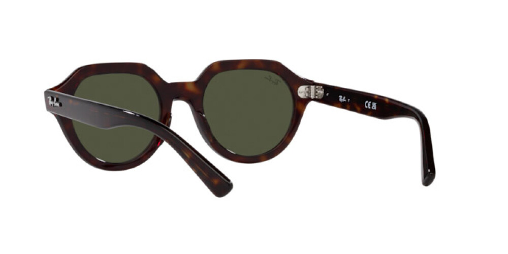 Sunglasses Man Woman Ray-Ban Gina RB 4399 902/31