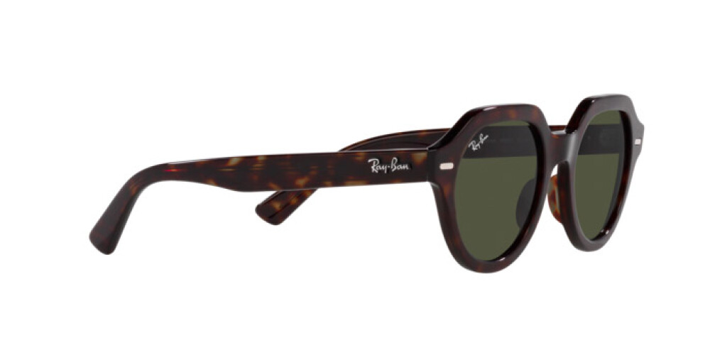 Sunglasses Man Woman Ray-Ban Gina RB 4399 902/31