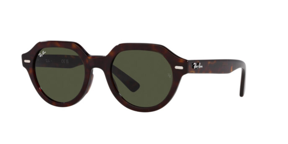 Sunglasses Man Woman Ray-Ban Gina RB 4399 902/31