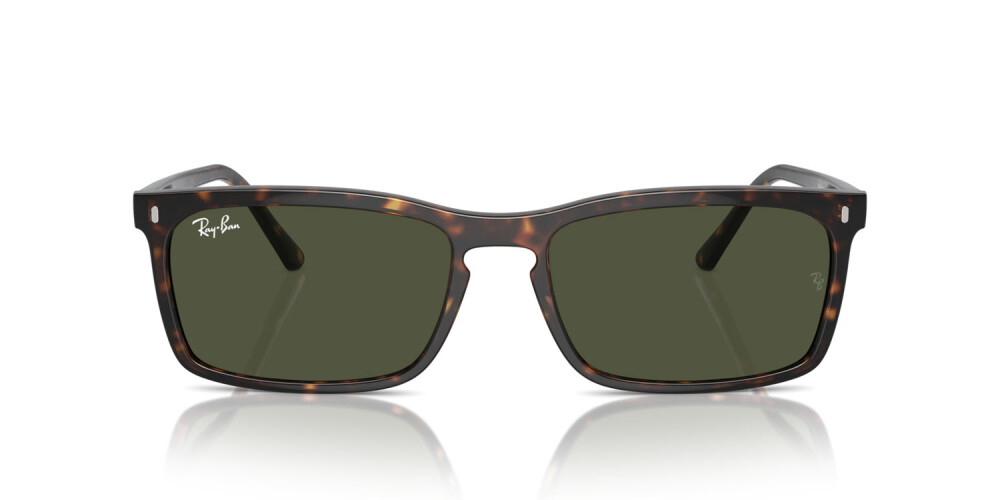 Occhiali da Sole Donna Uomo Ray-Ban  RB 4435 902/31