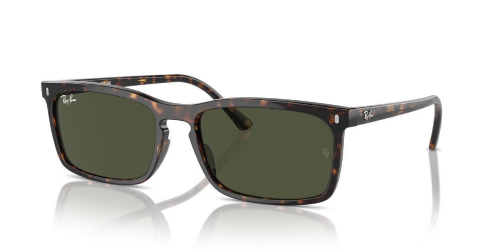 Occhiali da Sole Donna Uomo Ray-Ban  RB 4435 902/31