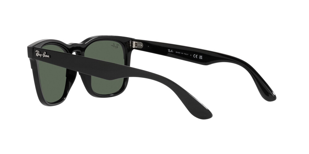 Occhiali da Sole Donna Uomo Ray-Ban Steve RB 4487 662971