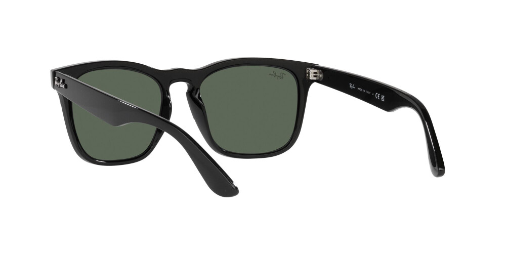 Occhiali da Sole Donna Uomo Ray-Ban Steve RB 4487 662971