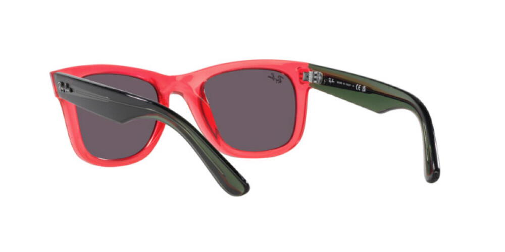 Sunglasses Man Woman Ray-Ban Wayfarer Reverse RB R0502S 67132O