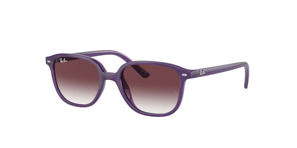 Occhiali da Sole Junior (da bambino) Ray-Ban Leonard Junior RJ 9093S 713136