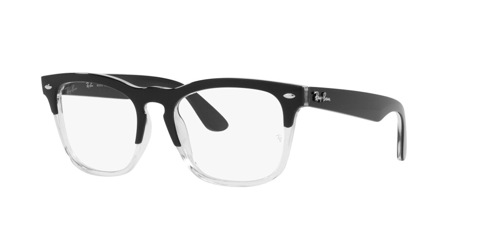 Eyeglasses Man Woman Ray-Ban Steve RX 4487V 8193