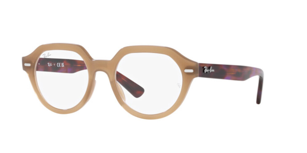 Eyeglasses Man Woman Ray-Ban Gina RX 7214 8258