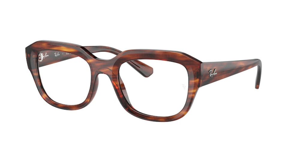 Eyeglasses Man Woman Ray-Ban Leonid RX 7225 8315