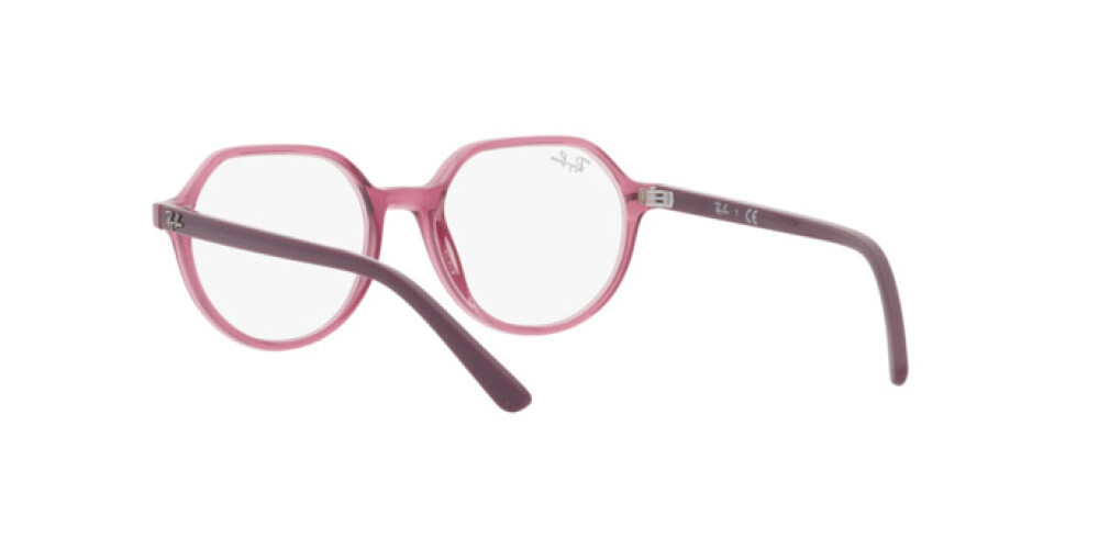 Eyeglasses Junior Ray-Ban Thalia Junior RY 9095V 3898