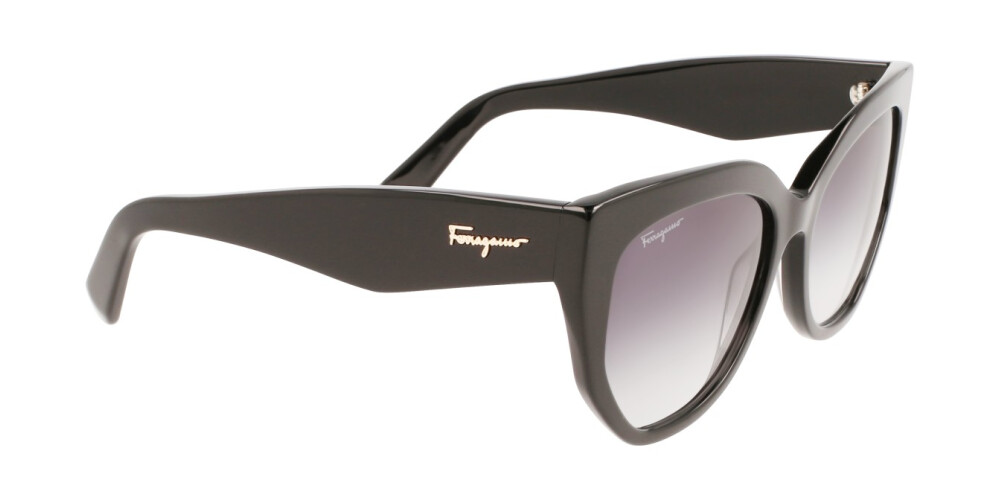 Sunglasses Woman Salvatore Ferragamo  SF1061S 001