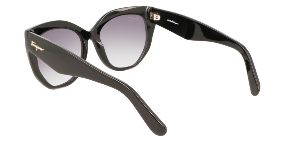 Sunglasses Woman Salvatore Ferragamo  SF1061S 001