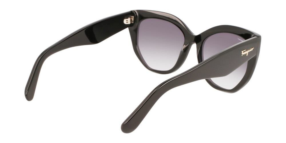 Sunglasses Woman Salvatore Ferragamo  SF1061S 001