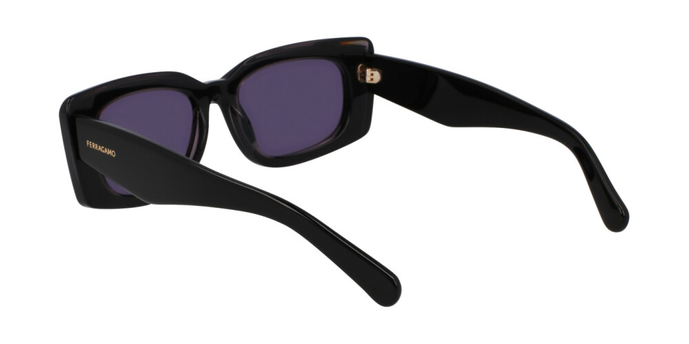 Sunglasses Woman Salvatore Ferragamo  SF1079SN 022