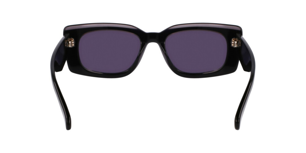 Sunglasses Woman Salvatore Ferragamo  SF1079SN 022