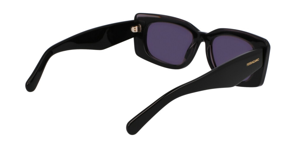 Sunglasses Woman Salvatore Ferragamo  SF1079SN 022