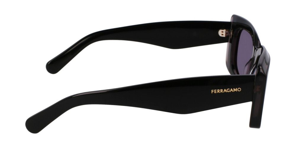 Sunglasses Woman Salvatore Ferragamo  SF1079SN 022