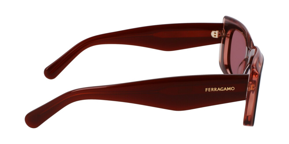 Sunglasses Woman Salvatore Ferragamo  SF1079SN 211