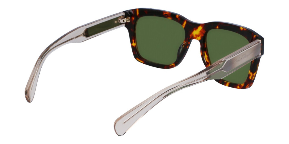 Sunglasses Man Salvatore Ferragamo  SF1087S 219