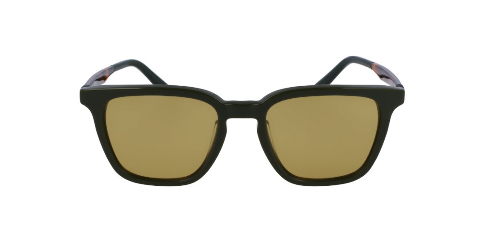 Sunglasses Man Salvatore Ferragamo  SF1100S 302