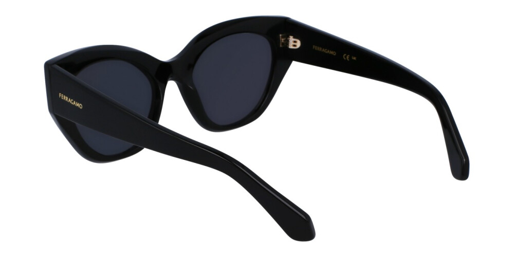 Sunglasses Woman Salvatore Ferragamo  SF1107S 001