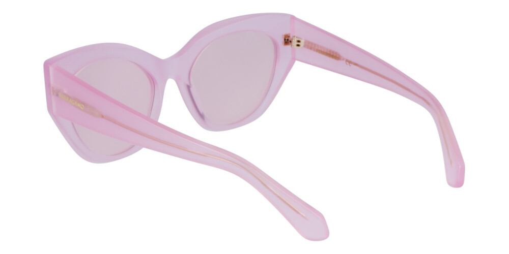 Sunglasses Woman Salvatore Ferragamo  SF1107S 663