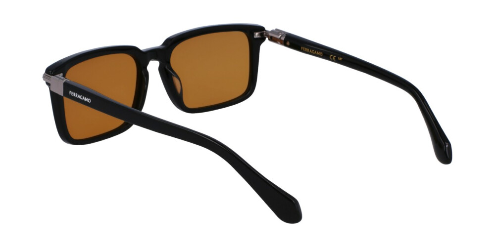 Sunglasses Man Salvatore Ferragamo  SF1110S 009