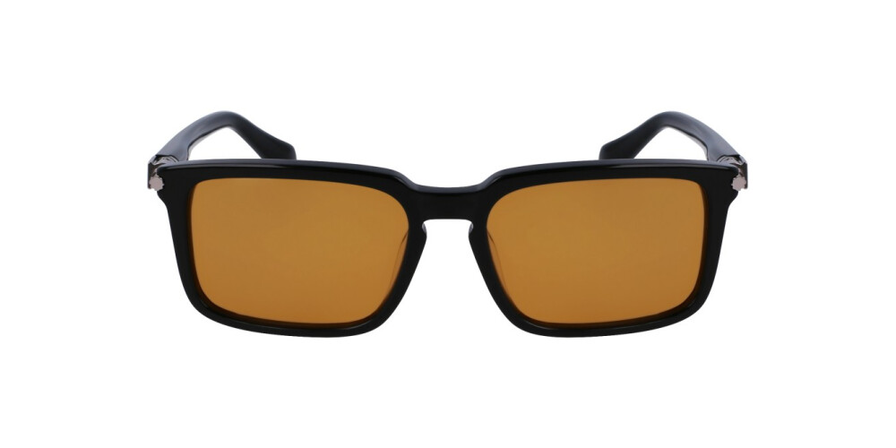 Sunglasses Man Salvatore Ferragamo  SF1110S 009