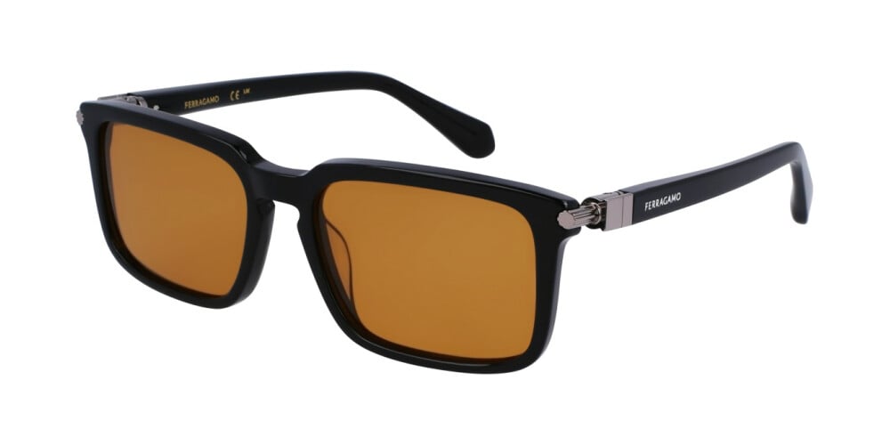 Sunglasses Man Salvatore Ferragamo  SF1110S 009