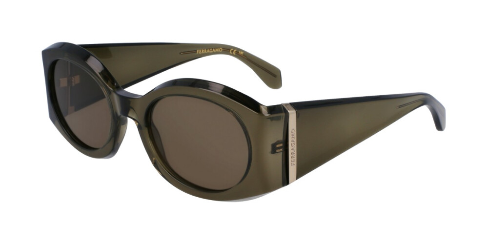 Sunglasses Woman Salvatore Ferragamo  SF2008S 320