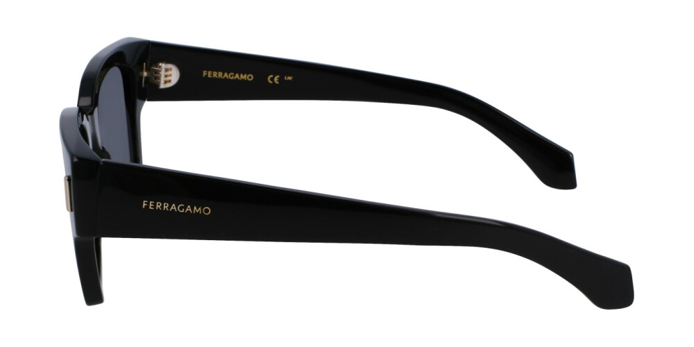 Sunglasses Man Salvatore Ferragamo  SF2010S 001