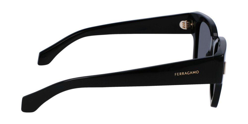 Sunglasses Man Salvatore Ferragamo  SF2010S 001