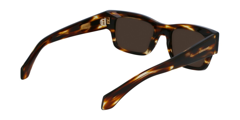 Sunglasses Man Salvatore Ferragamo  SF2011S 216