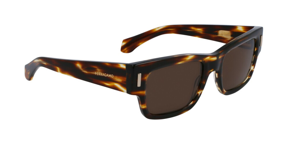 Sunglasses Man Salvatore Ferragamo  SF2011S 216