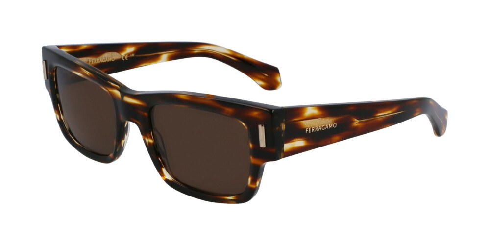 Sunglasses Man Salvatore Ferragamo  SF2011S 216