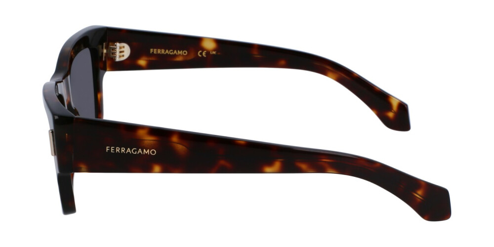 Sunglasses Man Salvatore Ferragamo  SF2011S 242