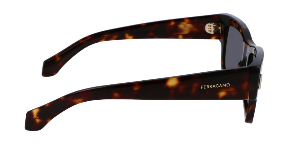 Sunglasses Man Salvatore Ferragamo  SF2011S 242