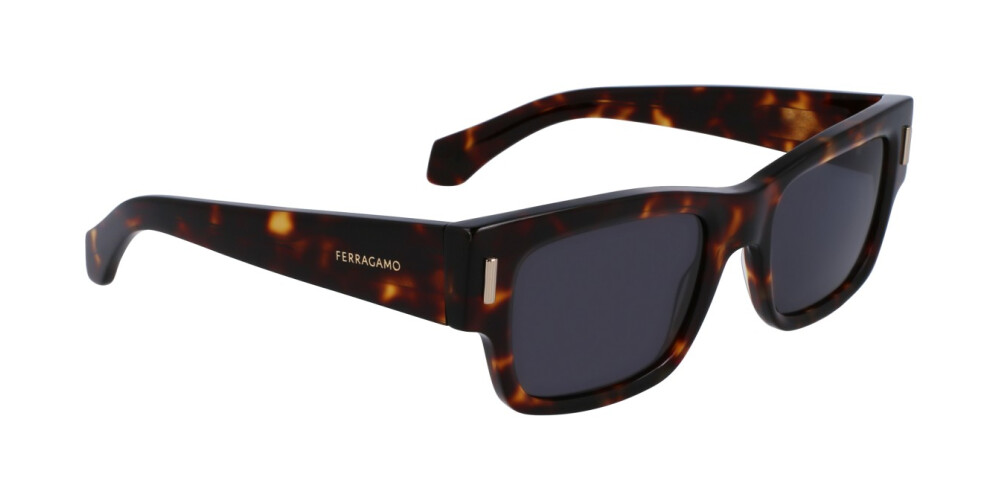 Sunglasses Man Salvatore Ferragamo  SF2011S 242