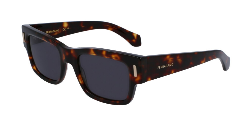 Sunglasses Man Salvatore Ferragamo  SF2011S 242