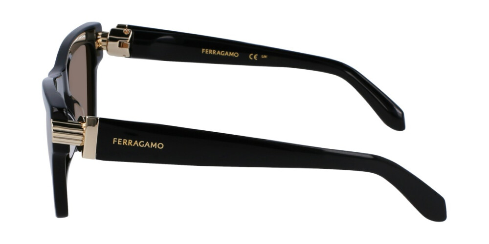 Sunglasses Woman Salvatore Ferragamo  SF2013S 011