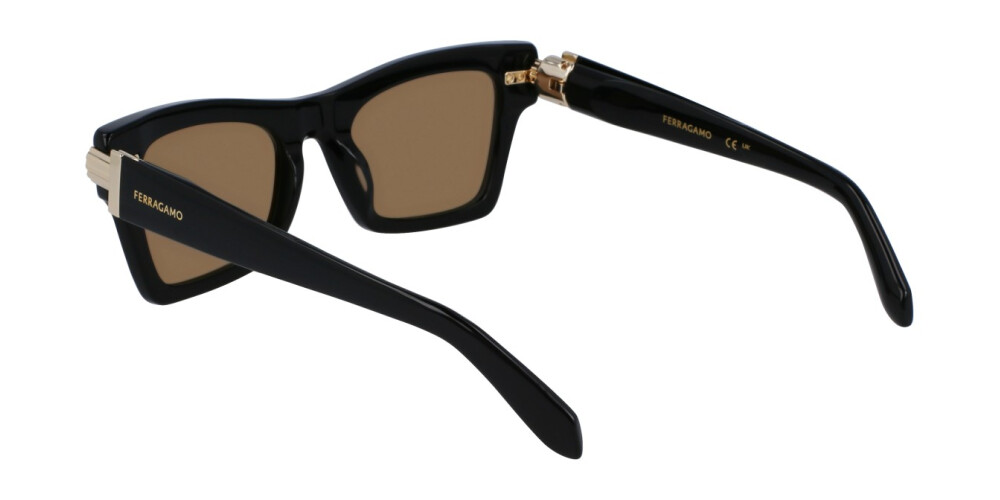 Sunglasses Woman Salvatore Ferragamo  SF2013S 011