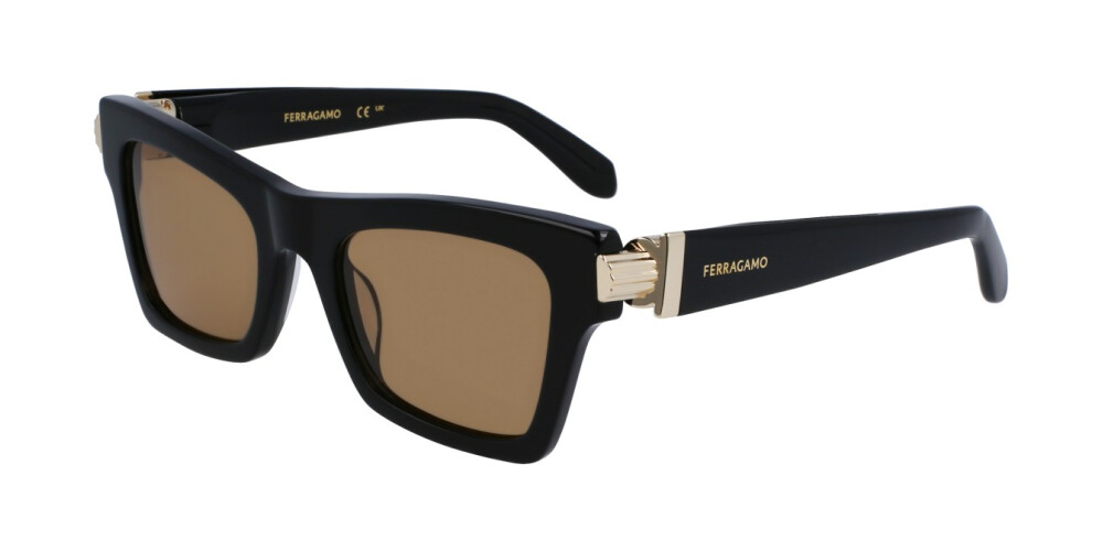 Sunglasses Woman Salvatore Ferragamo  SF2013S 011